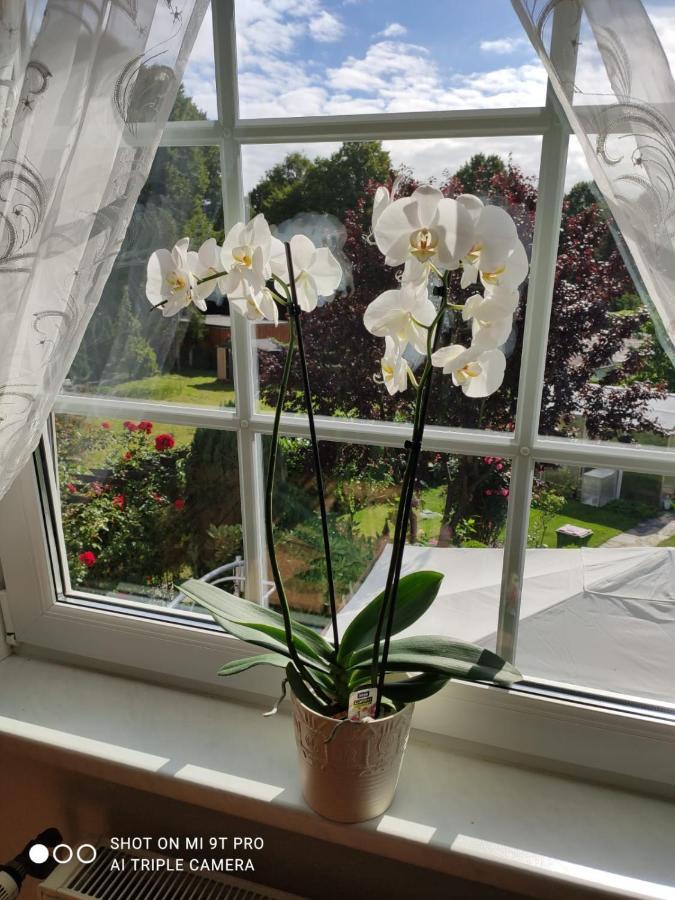 Blumen Apartment Hamburg Bagian luar foto